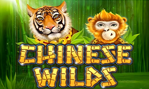 Trò chơi slot Chinese Wilds tại winvn14